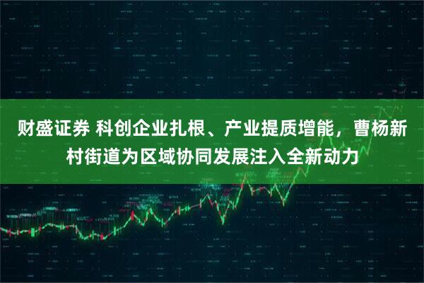 财盛证券 科创企业扎根、产业提质增能，曹杨新村街道为区域协同发展注入全新动力